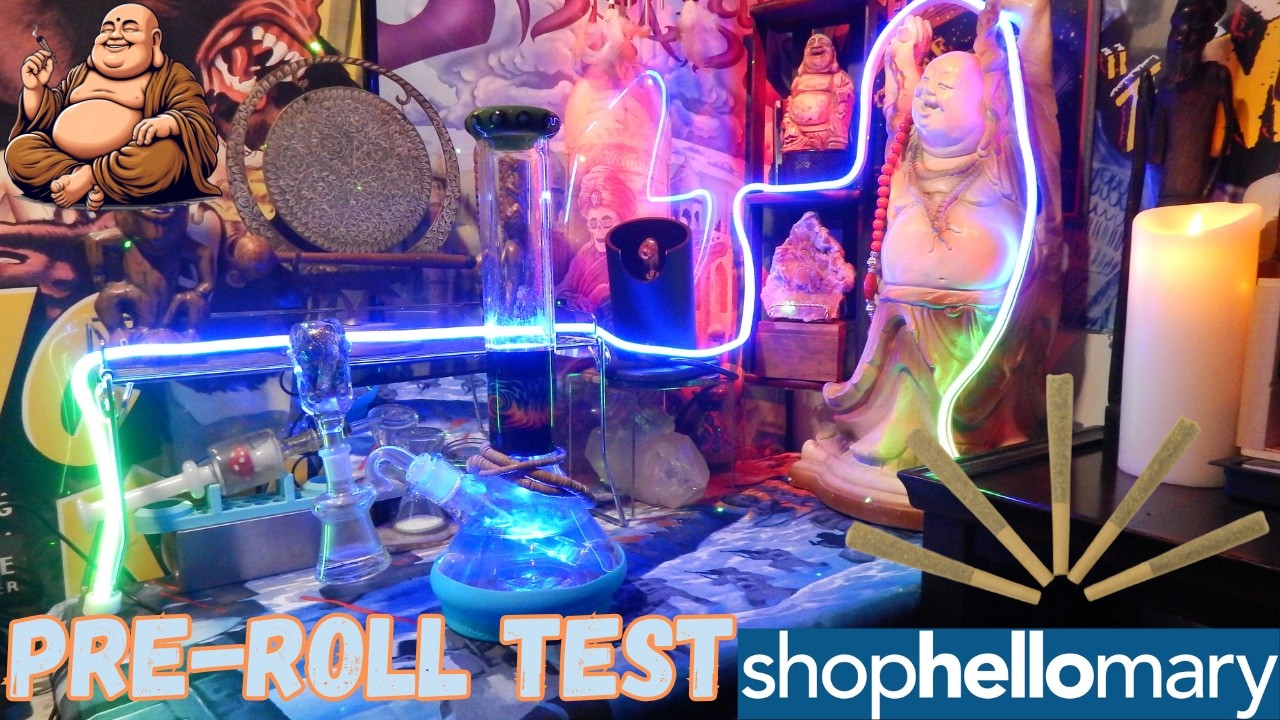Unexpected THCA Pre-Roll Test- House Blend by ShopHelloMary- Legal Flower Review
