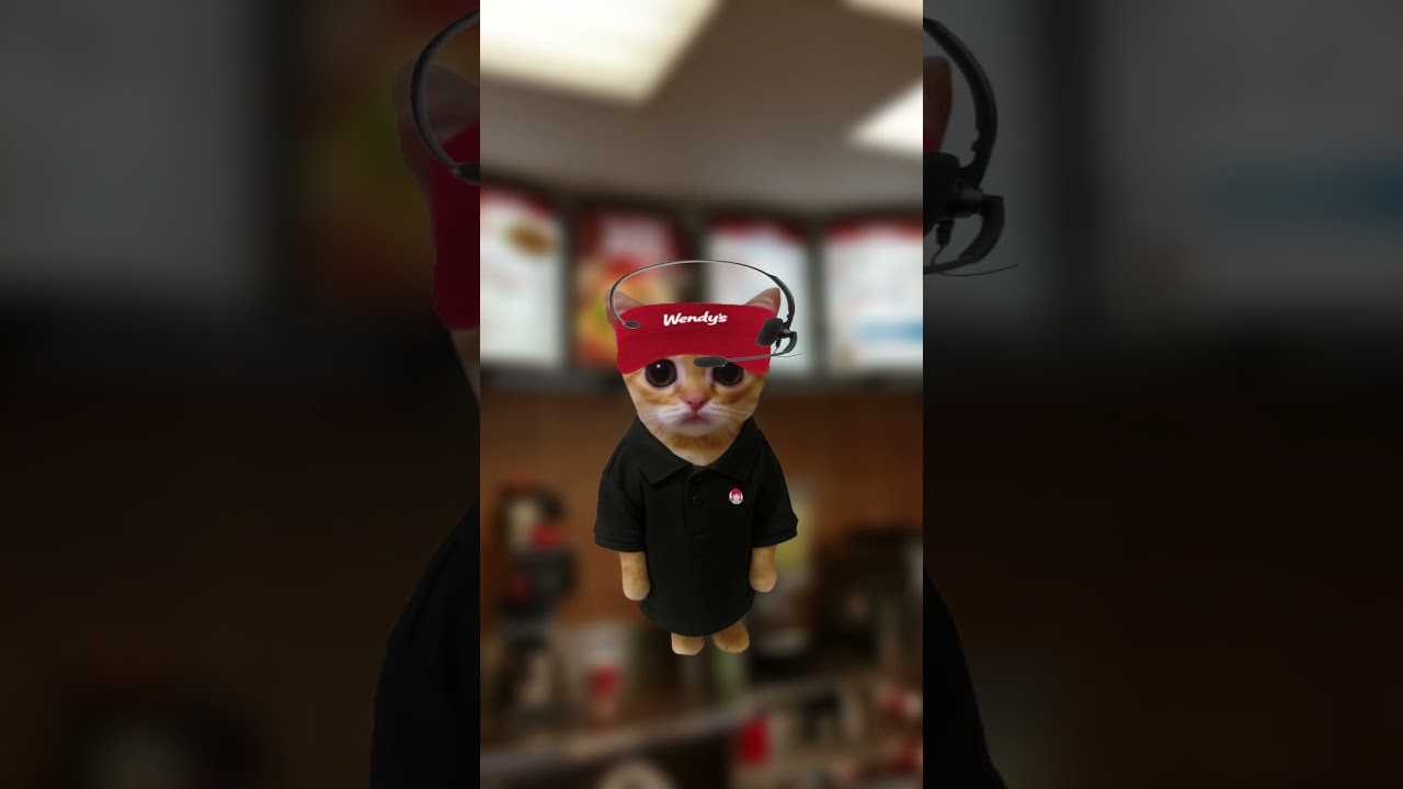 What It's Like Working At Wendys Explained by Kitty