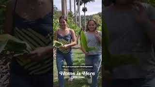 Kimokeo Foundation