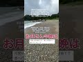 「お月さん今晩は」藤島桓夫の曲。氷川きよしのcover。