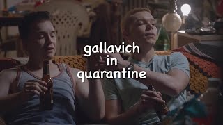 gallavich in quarantine