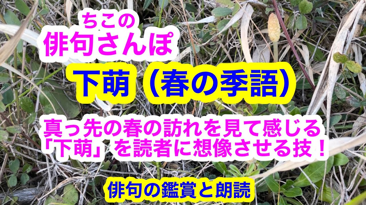 【俳句さんぽ・第53回】真っ先に春の訪れを知らせてくれる「下萌」俳人の読み手に想像させる技！#俳句#俳句鑑賞#俳句朗読