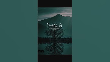 القرآن الكريم بصوت القارئ : احمد النفيس #راحة_نفسية #لايك #القرآن #duet #explore #اكسبلور