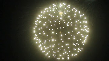 2020 DISPLAY SHELLS (17)- 6 inch white strobe