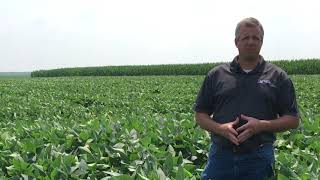 2021 FOCUS site tour - Soybean Defoliant