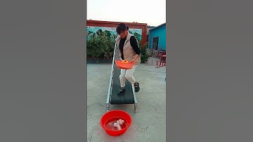 Portable Folding Belt Conveyor for Easy Setup and Storage. #shorts