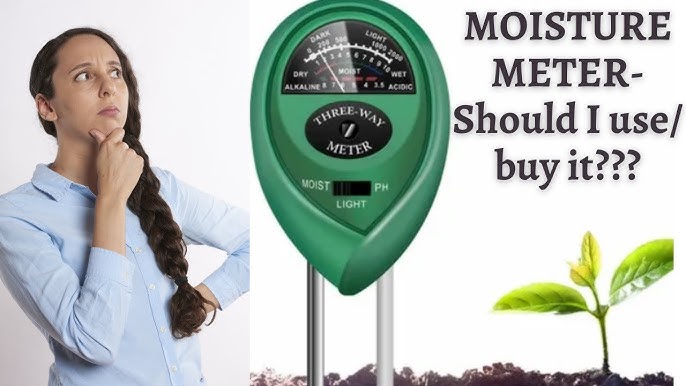 How To Use Soil Moisture Meter To Avoid Over & Under Watering