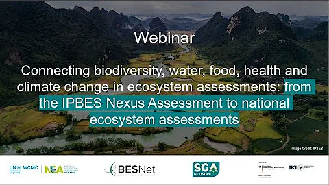 Webinar: From the IPBES Nexus Assessment to National Ecosystem Assessments