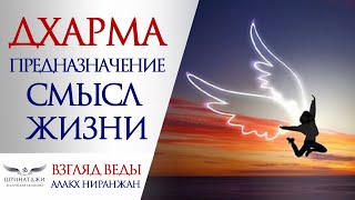 видео: ДХАРМА | ПРЕДНАЗНАЧЕНИЕ | СМЫСЛ ЖИЗНИ картинка: ДХАРМА | ПРЕДНАЗНАЧЕНИЕ | СМЫСЛ ЖИЗНИ