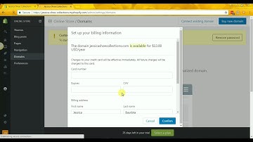 19 How to Buy a Domain for your Store from Shopify  - Jessica