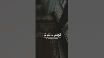 ﴿ كلُّ نَفسٍ ذائقةُ المَوتْ ﴾ من سورة العنكبوت 🤍 #قرآن #اكسبلور #المصحف #اذكر_الله