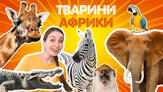 видео: ТВАРИНИ АФРИКИ 🐒хочеш весело вивчати? Навчальне відео для дітей. Дитячі пісеньки та вірші про тварин картинка: ТВАРИНИ АФРИКИ 🐒хочеш весело вивчати? Навчальне відео для дітей. Дитячі пісеньки та вірші про тварин