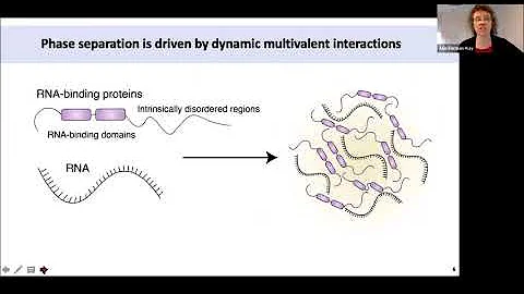 2020-07-16 Emerging MR Webinar:  Julie Forman-Kay