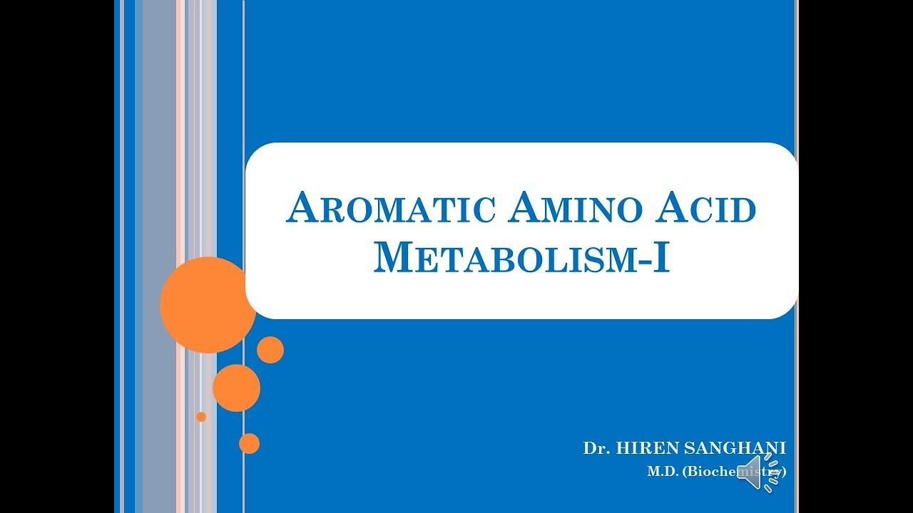 Aromatic Amino Acid Metabolism I (Phenylalanine & Tyrosine)