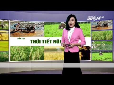 Video (VTC14)_Thời tiết nông vụ ngày 06.02.2017 - youtube