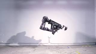 Unitree Humanoid Flip