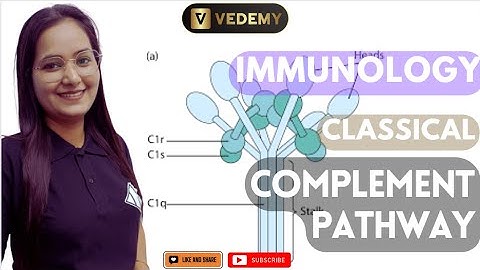 Classical Complement Pathway | Immunology | Dr. Ravina | CSIR | GATE | DBT | ICMR