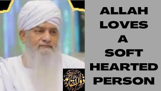 ALLAH LOVES A SOFT HEARTED PERSON by Peer Zulfiqar Ahmad Naqshbandi DB screenshot 1