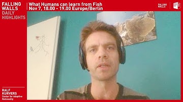 Ralf Kurvers, what can humans learn from the swarm intelligence of fish?