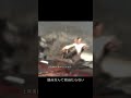 最強で無敵のアイドル