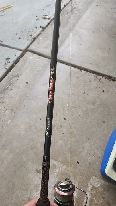 ugly stik GX2