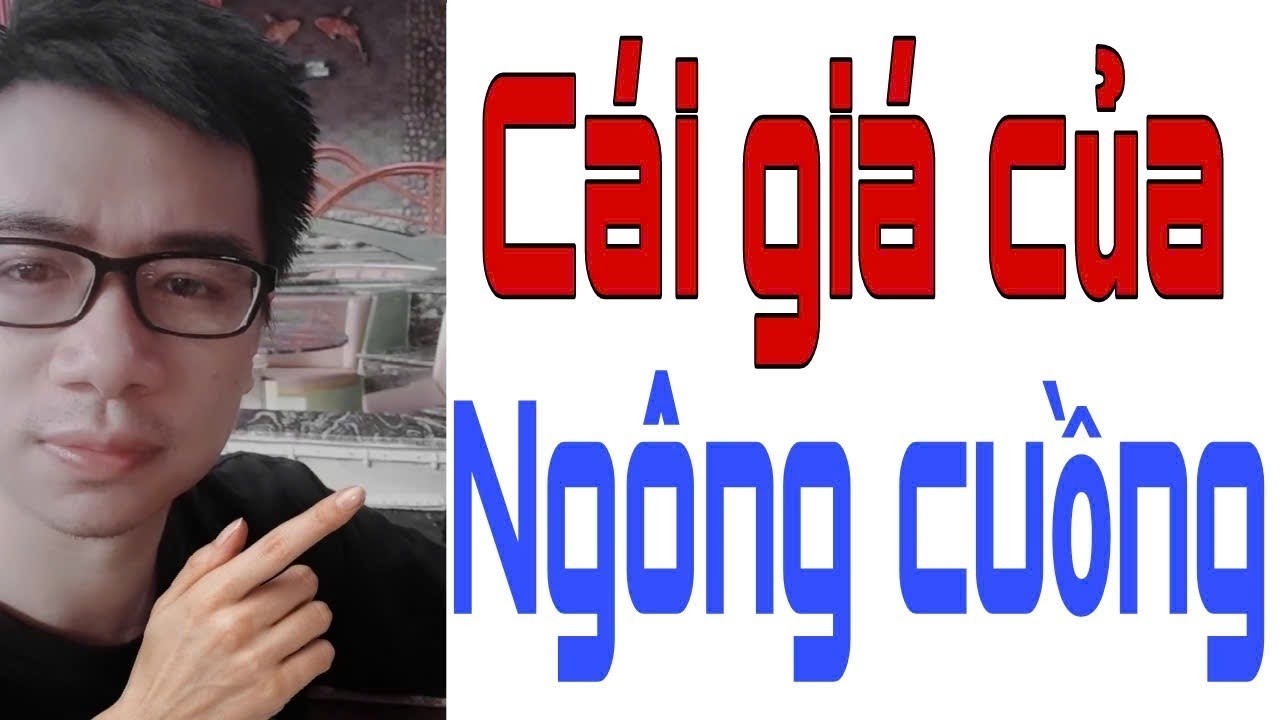CÁI GIÁ CỦA SỰ NGÔNG CUỒNG | PHÍA FAN CUỒNG CON NUÔI xem mà RÚT KINH NGHIỆM. Triển Ca Vlog