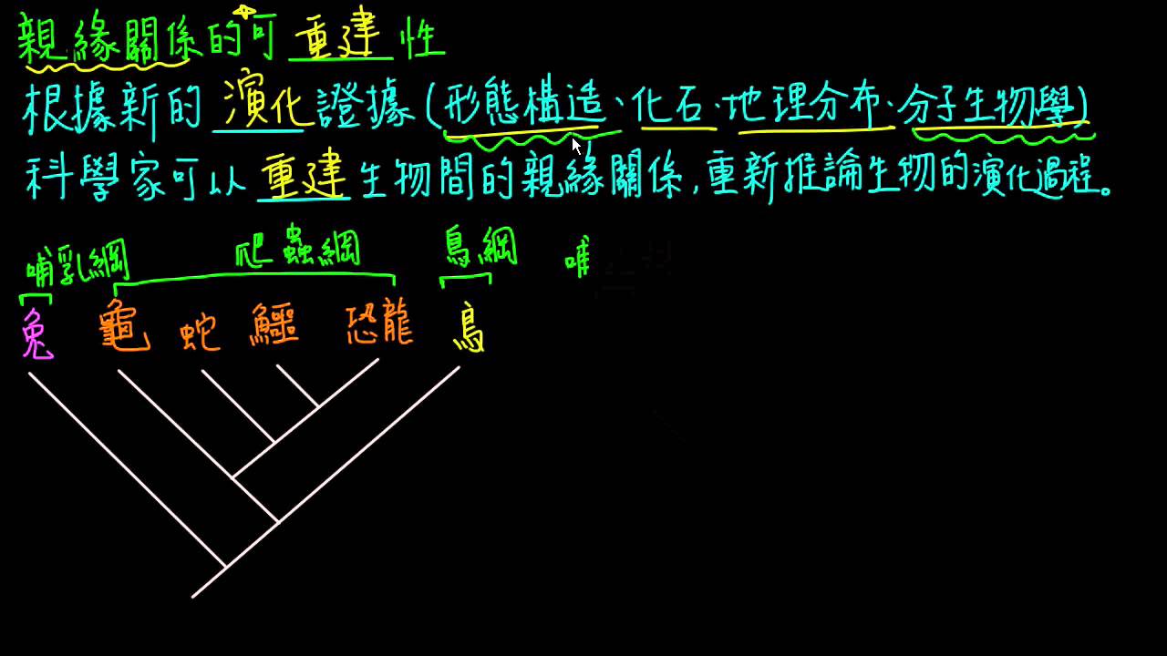 親緣關係的可重建性 自然 均一教育平台 親緣關係的可重建性 自然 均一教育平台