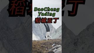 The Most Beautiful Views In China Are In Daocheng Yading
