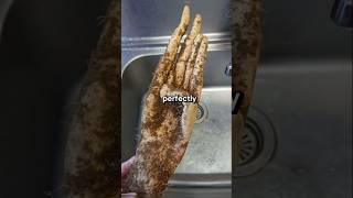 Rare Photos You've Never Seen Before [Part 66]