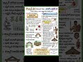 కొన్యాక్ తెగ