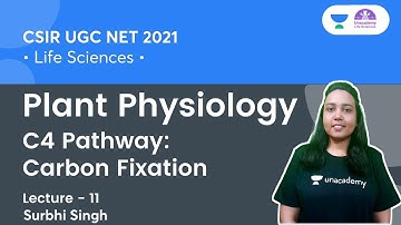 C4 Pathway: Carbon Fixation | Plant Physiology | CSIR UGC NET 2021 | By Surbhi Singh