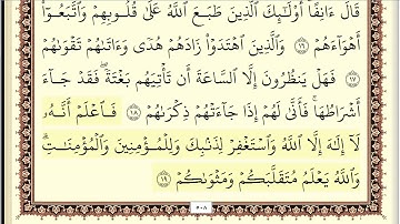 ايمن سويد سورة محمد مكتوبة جودة عالية