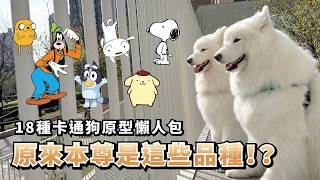 Download Lagu 『原來本尊是這些品種？』18種卡通狗原型懶人包(薩摩耶多比Dobby is free) MP3