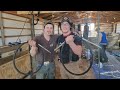 "Shearing With A Flexible Drop (The Darkside)" American Shearing (Vlog 14)