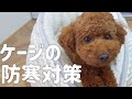 トイプードルの防寒対策！寝床のケージ(クレート)は毎年こうしてます♪