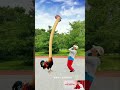 Play with new tricks #Funny videos are just for entertainment and have fun