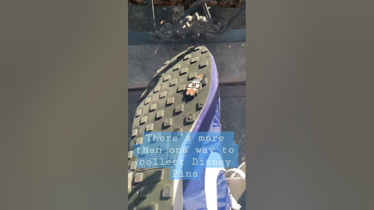 There s More Than One Way To Collect Disney Pins disney disneyland  there-s-more-than-one-way-to-collect-disney-pins-disney-disneyland