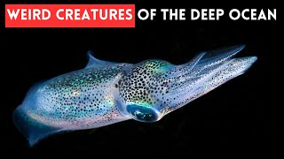 Weird and Wonderful Creatures of the Deep Ocean by Slides TV 231 views 4 weeks ago 5 minutes, 47 seconds