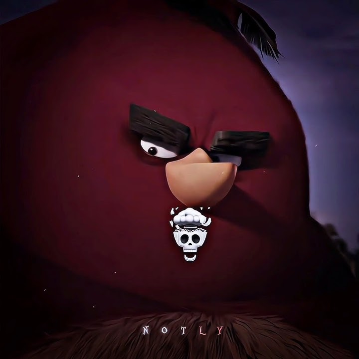 Terence ☠️ - Angry Birds