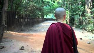 Visiting Wat Nong Pah Pong | Ajahn Chah's Monastery | Thailand