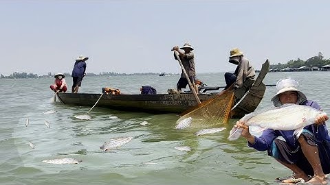 Chài rà trên sông Tiền cuối mùa nước trong - Sông Nước Cửu Long - Nguyễn Hùng