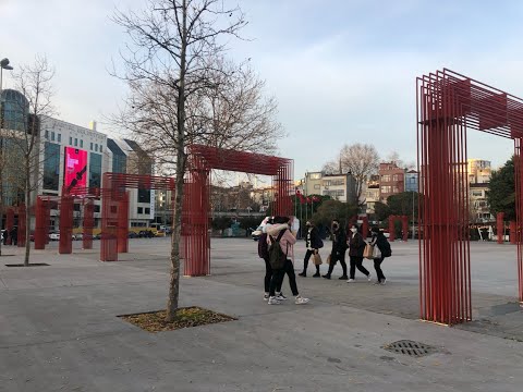 Video: Bilim, Köpeklerin Ve İnsanların Davranışlardan Daha Fazla Ortaklaştıklarını Ve Oynadıklarını Söylüyor