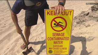 Details New water testing policy causing more closures of Coronado beaches News