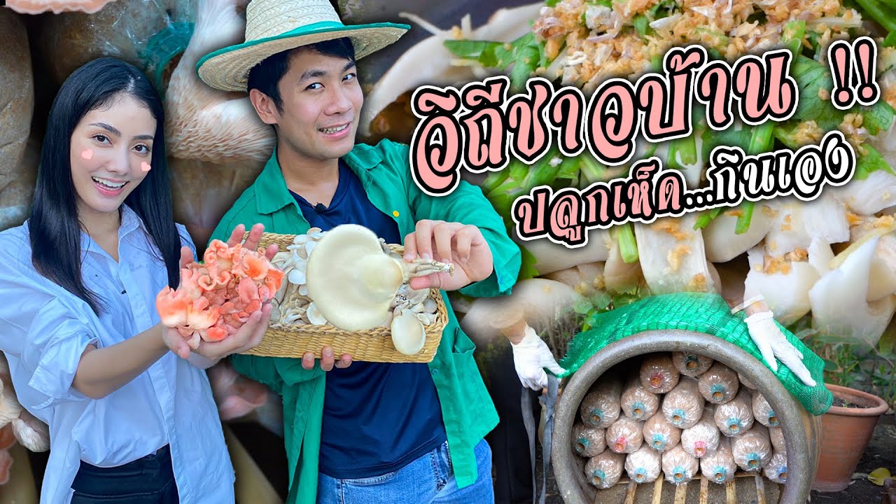 ปลูกเห็ดกินเอง !! อร่อยมากกกกกกก [ คนหลงรส ] EP. 29
