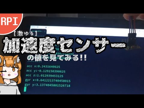 【激ゆる】加速度センサーの値を眺めてみる