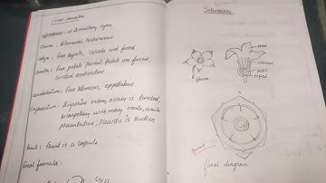 +2 Botany Record/Observation book writing