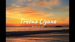 Download Lagu Nortslhe ft agiff - Tresno Liyane MP3
