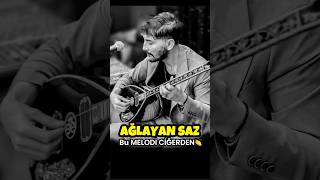 AĞLAYAN SAZ 🥀🪕 Erdal Erdoğan || Bu Melodi ciğerden çok dokunaklı