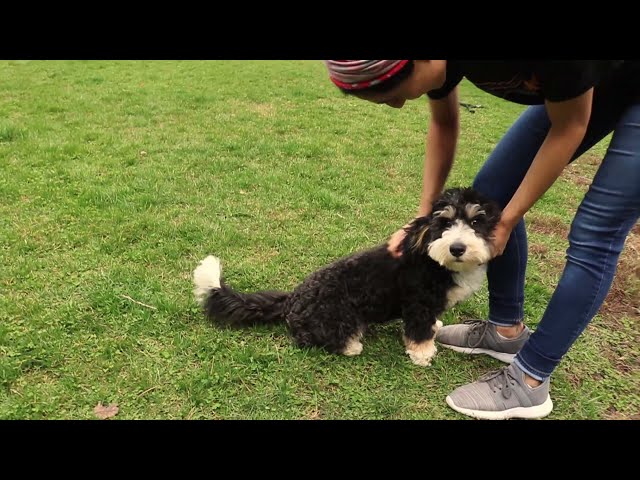 Liliana Training Ajax at our Yorkville Training Center