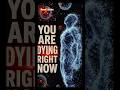 Your Body Kills Millions of Cells Every Second — Here's Why #shorts #facts